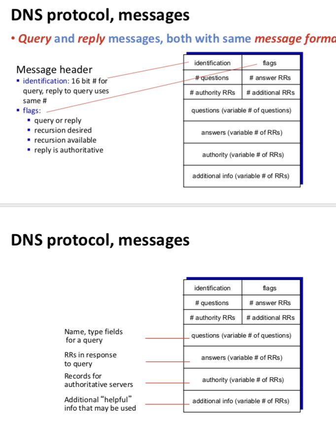 DNS报文格式